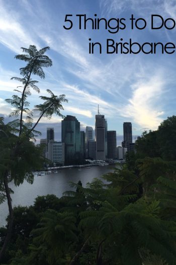 5 Things to do in Brisbane
