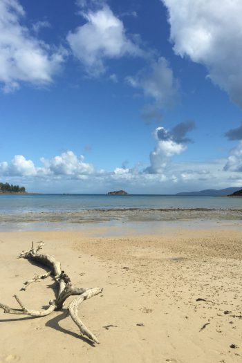 What you need to know before planning your trip to the Whitsundays