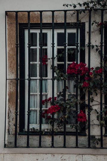 Whaelse_Fashionblog_Berlin_Lisbon_Wide_Leg_Pants-18