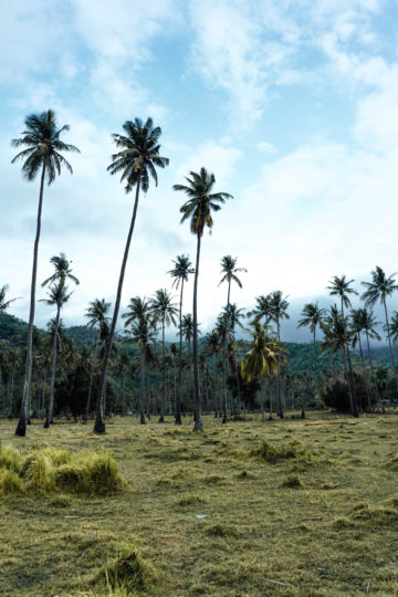 Reiseführer Lombok